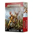 Warhammer Age of Sigmar Warrior Starter Set (German) (80-15)